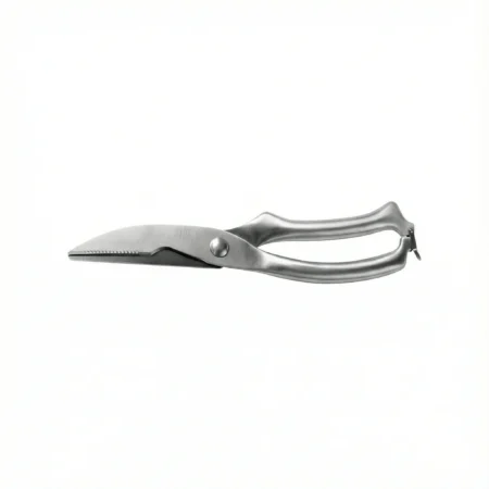 Ciseaux Volaille Inox 25 CM